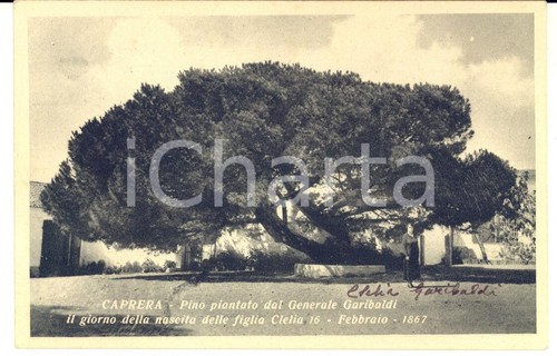 1935 caprera clelia - 1935,