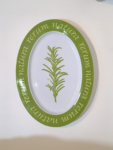 Elegante piatto ovale