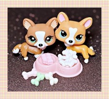 Lotto set cane cucciolo Corgi