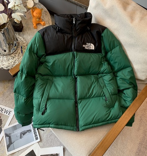 The north face 1996 eco - north,