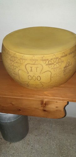 Forma grana padano - forma,