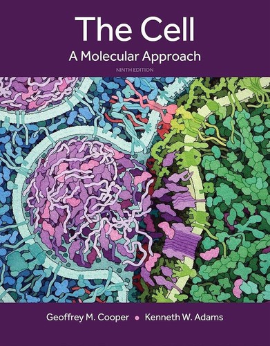 New the cell - new, molecular