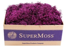 (27013 Muschio Spagnolo