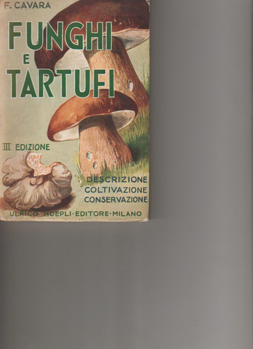 Funghi tartufi descrizione - e, tartufi.