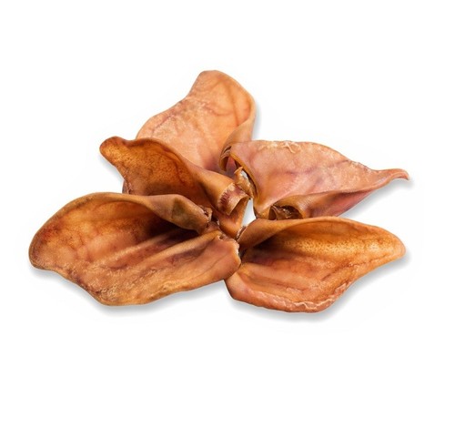 Orecchio maiale petmex - orecchio,
