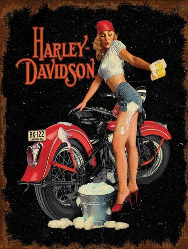 Insegna pubblicitaria harley - insegna,