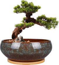 Vaso per Bonsai in Ceramica