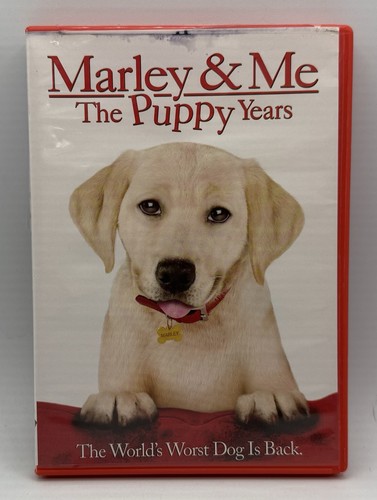 Marley the puppy years - marley,