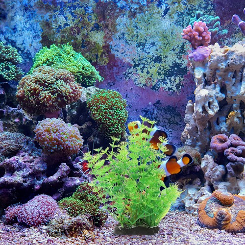 Piante acquario finte - acquario,