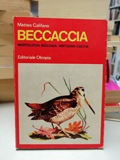 BECCACCIA Morfologia Biologia Abitudini Caccia, Matteo Califano, Olimpia 1971