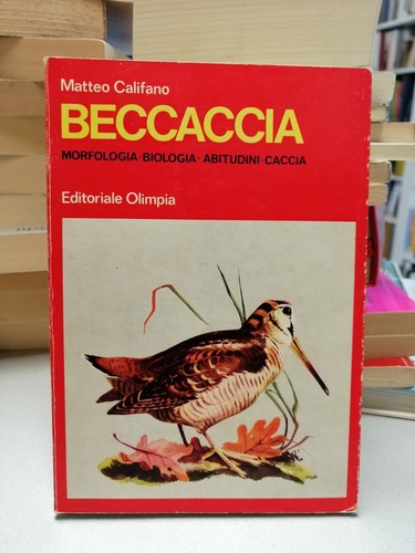 Beccaccia morfologia biologia - beccaccia,