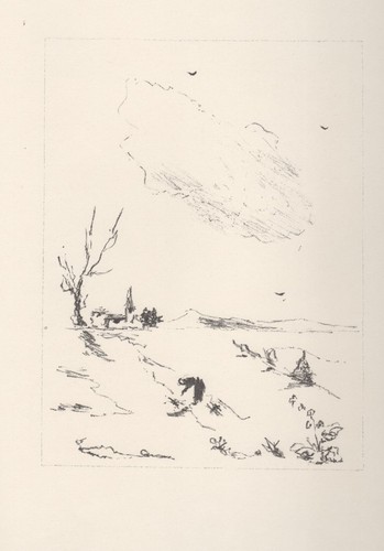Filippo pisis nuvola - filippo,
