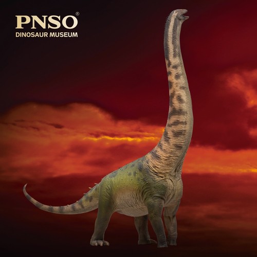 Pnso 2025 huigui the - huigui,