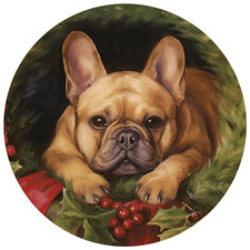 Bulldog francese cane auto