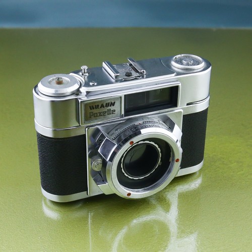 Paxette marrone - (ii, ?)