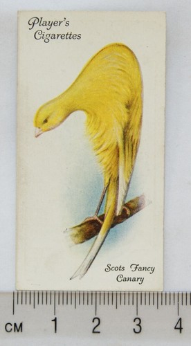 1933 john player - 1933,