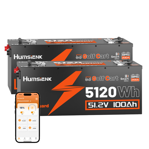 Humsienk 2pcs 48v 100ah golf - humsienk,