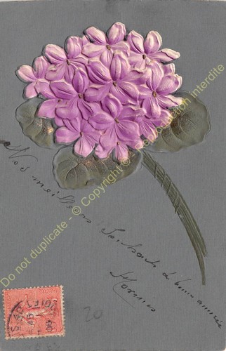 Cartolina fantasia goffrato - cartolina,