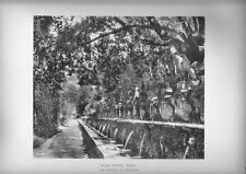 grande stampa - disegno