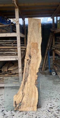 Tavola legno ulivo - legno,