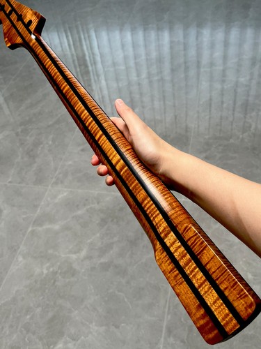Aaaaa5pezzi tastiera fretless - tastiera,