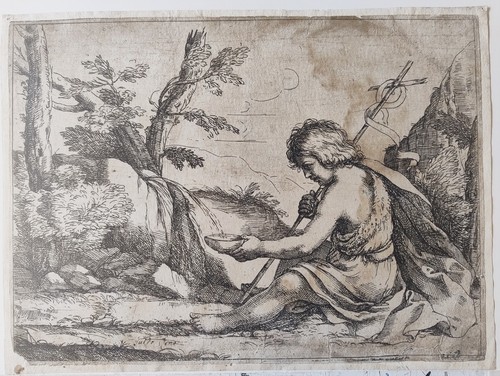 San giovannino battista - giovannino,