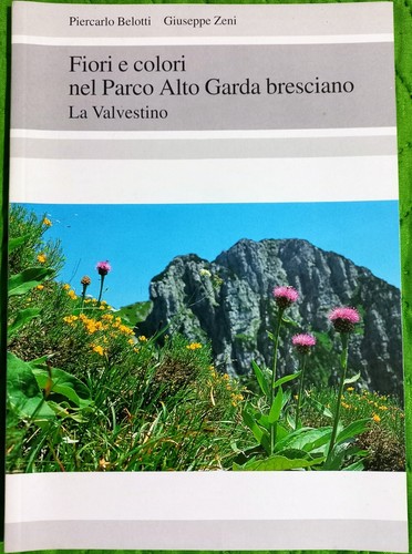 Fiori colori nel - e,