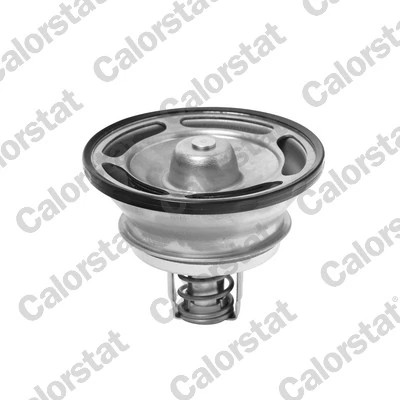 Thermostat coolant fits - coolant,