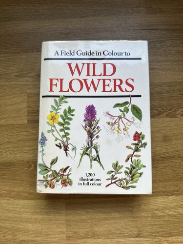 Vintage wild flowers - flowers, field