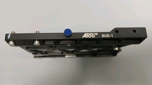 Arri bud - arri,