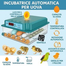 Incubatrice per uova - incubatrice,