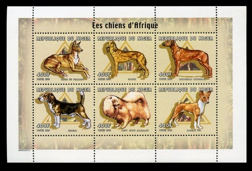 Basenji rhodesian ridgeback - basenji,