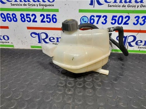 Vaschetta acqua radiatore - acqua,