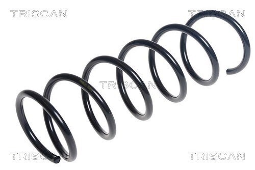 Triscan molla sospensione - di,
