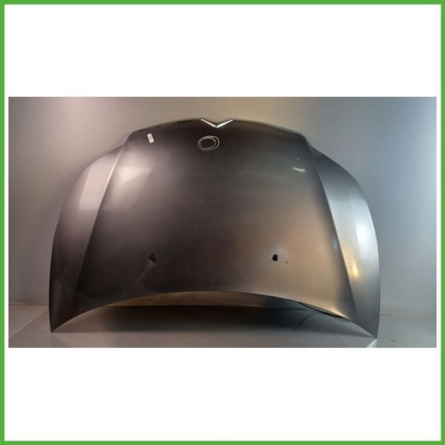 Cofano motore citroen - motore,
