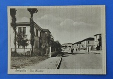 Cartoline Postcard Senigallia Via Rossini animata Alterocca Terni