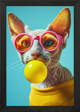 Poster Devon rex gatto gomma