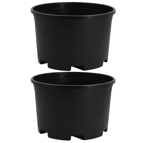 2pz vasi per - per, piante