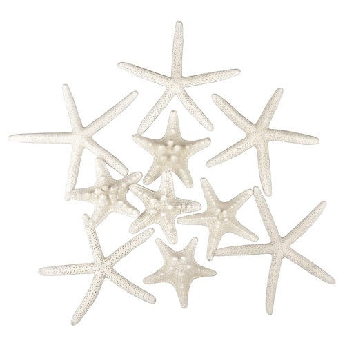 Pezzi decorazione stella - 12,