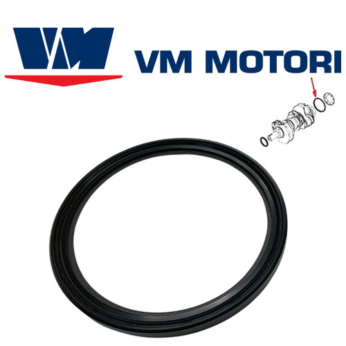 Guarnizione albero motore - , vm