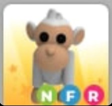 Albino Monkey N | Neon |