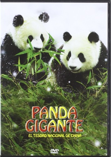 Panda gigante tesoro - panda, gigante,