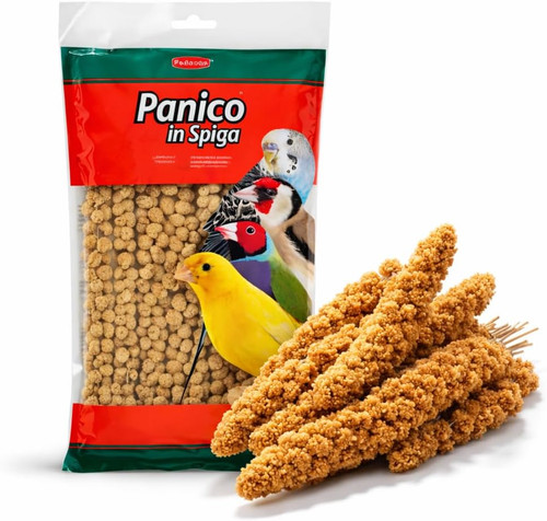 Spighe panico per - spighe,