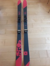 sci freestyle FACTION 1.0 +