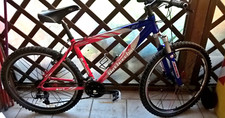 BICI MOUNTAIN BIKE BOTTECCHIA