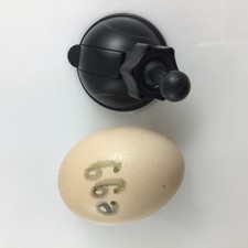 Supporto auto per Garmin Dash