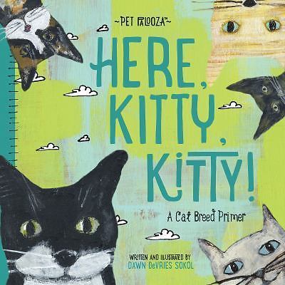 Here kitty a cat - kitty!:,