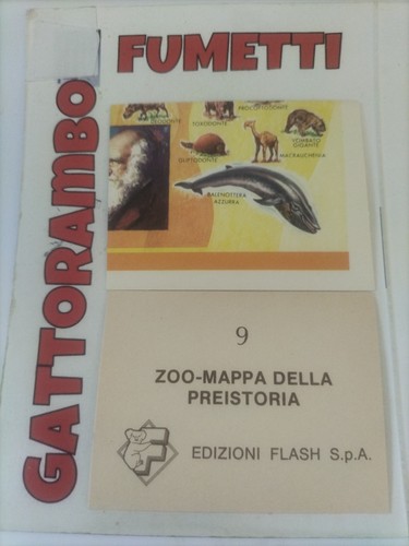 Figurine zoo mappa della - zoo,
