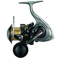 Mulinello da Pesca DAIWA 15