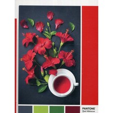 Clementoni puzzle 1000 - clementoni,
